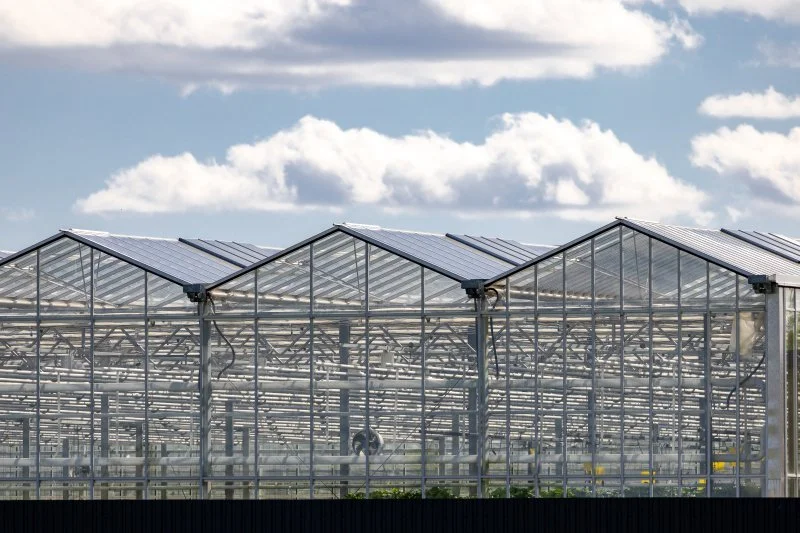 Динамичный сегмент: новый формат недвижимости завоевывает российский рынок Динамичный сегмент: новый формат недвижимости завоевывает российский рынок