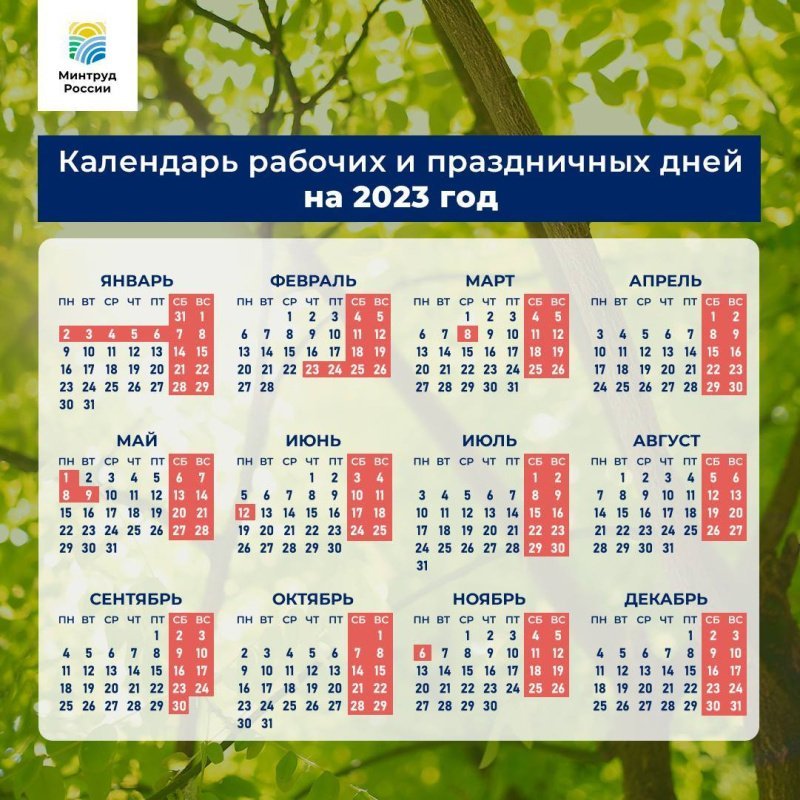 Минтруд рассказал, сколько дней россияне будут отдыхать в 2023 году