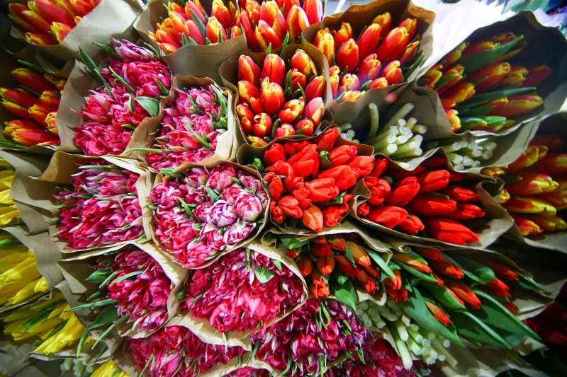 8 Марта — Международный женский день