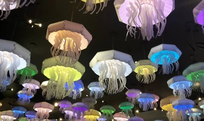 410 15398987_1137367629716571_949991443_o.jpg