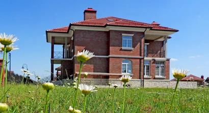 410 38650ls.jpg