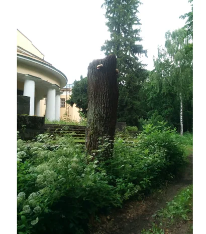 410 IMG_20170728_140921.jpg