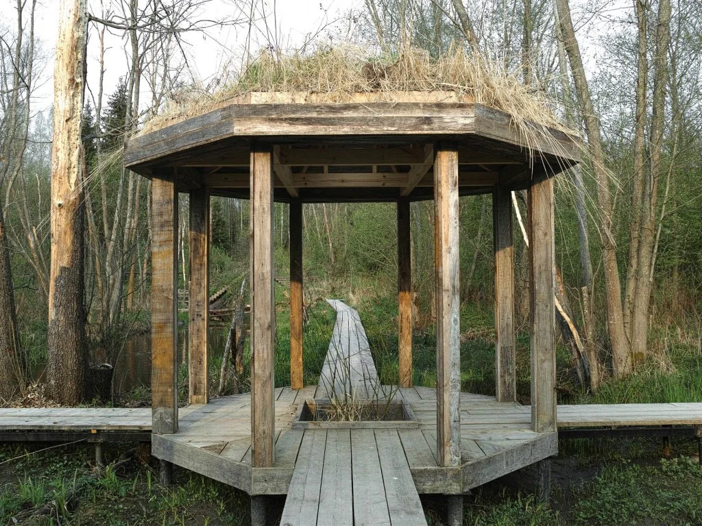 Парк Веретьево.jpg