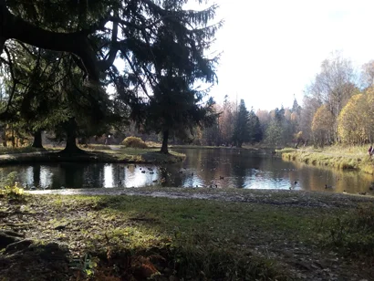 410 IMG_20171023_134717.jpg