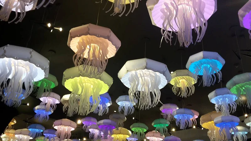 Океан впечатлений