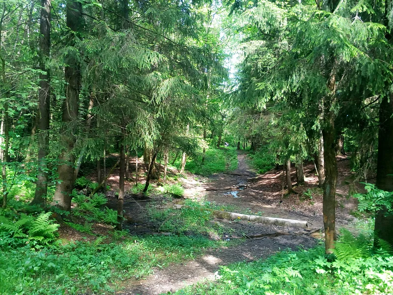 Обесточенный ансамбль 