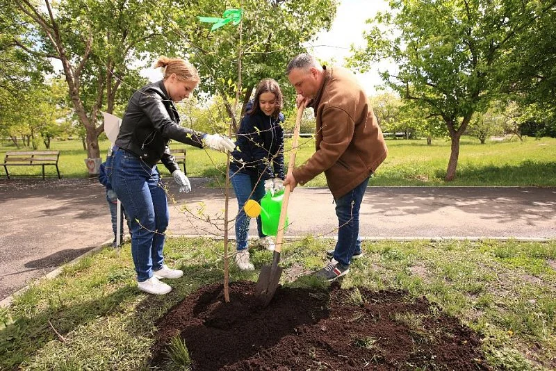 SLK Cement высадила в парках двух городов аллеи деревьев