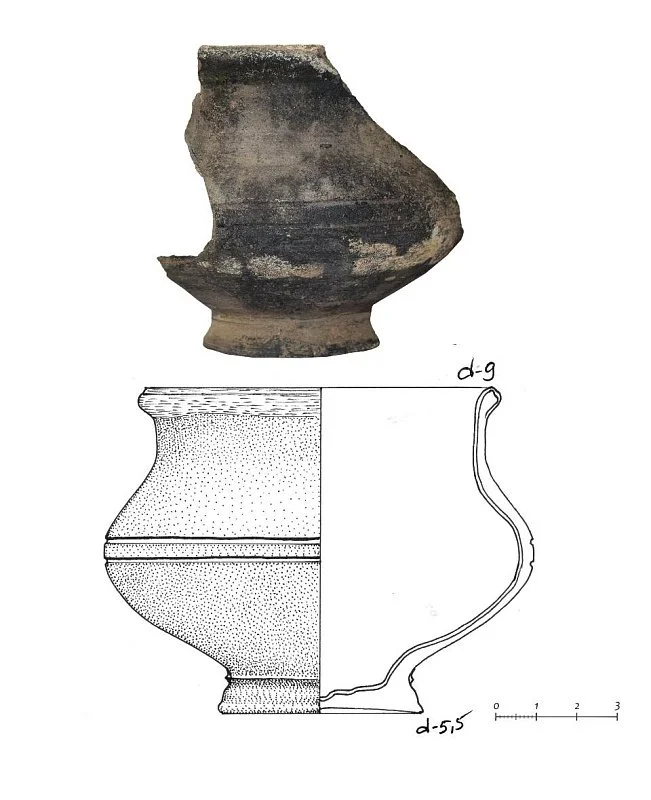 «Барсы под пальмой»: Что нашли археологи на территории Центрального телеграфа