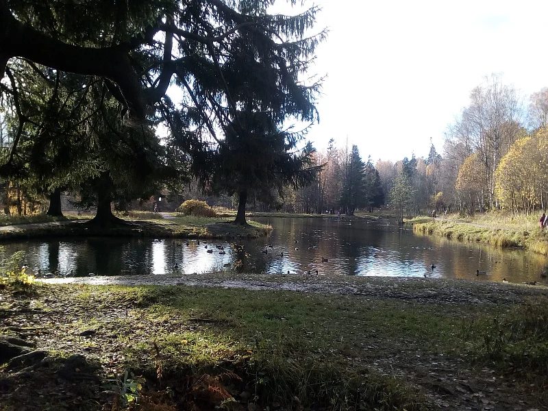 Обесточенный ансамбль 