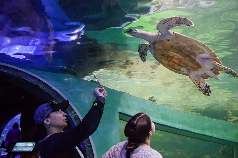 Океан впечатлений