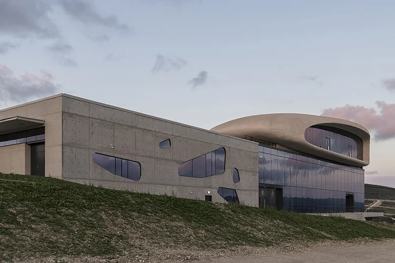 Бионика на фоне лоз