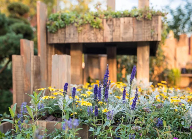 ﻿Окно в сад