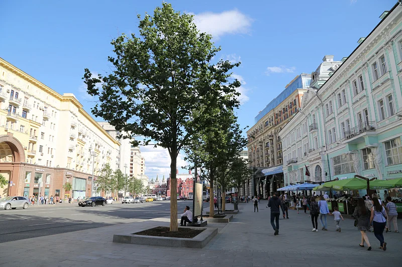 Жить красиво