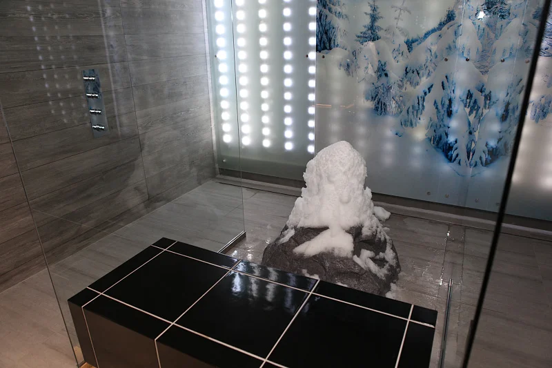 Курортная санация