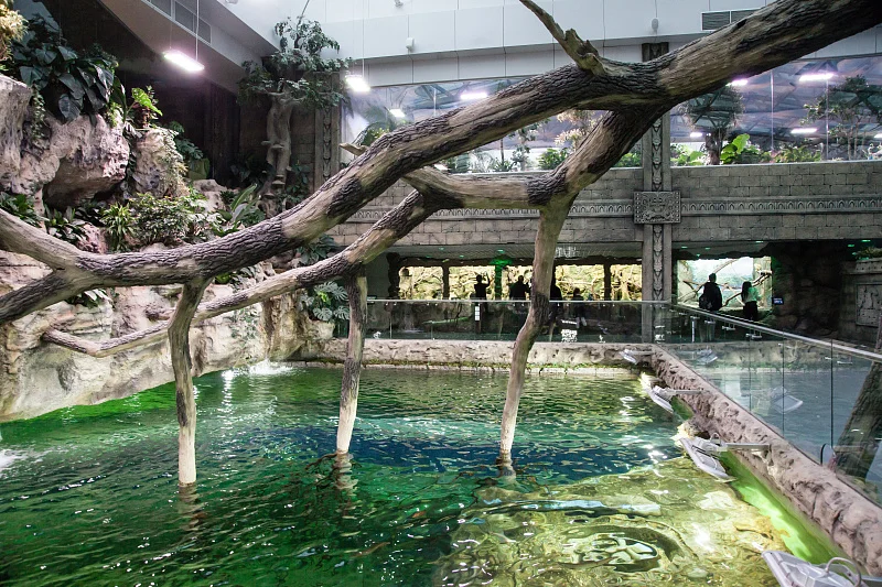 Океан впечатлений