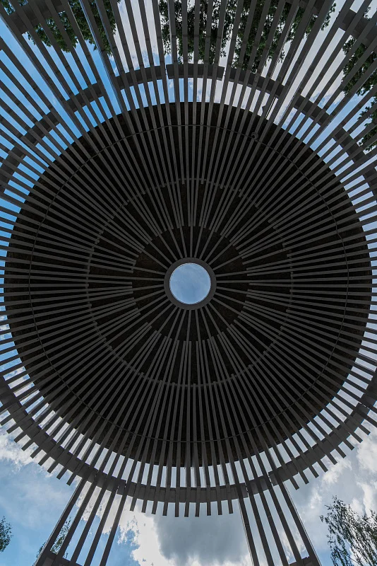 Игра в ротонду