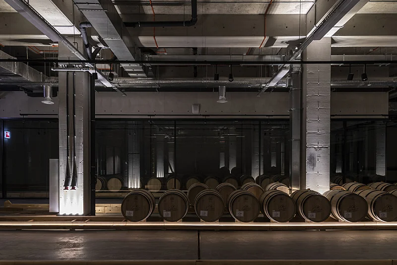 Бионика на фоне лоз