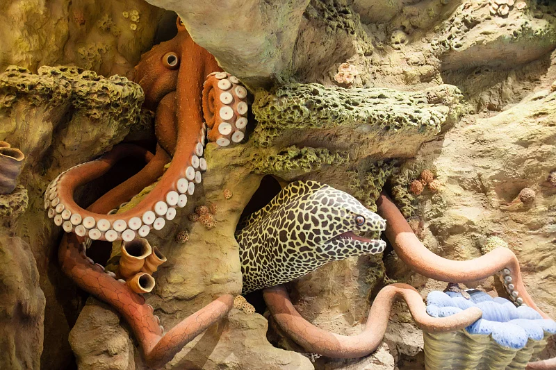 Океан впечатлений