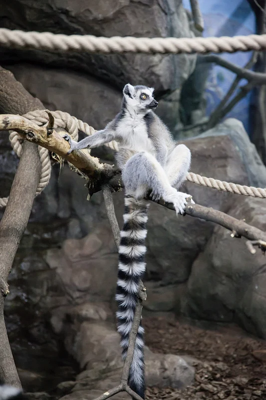 Океан впечатлений