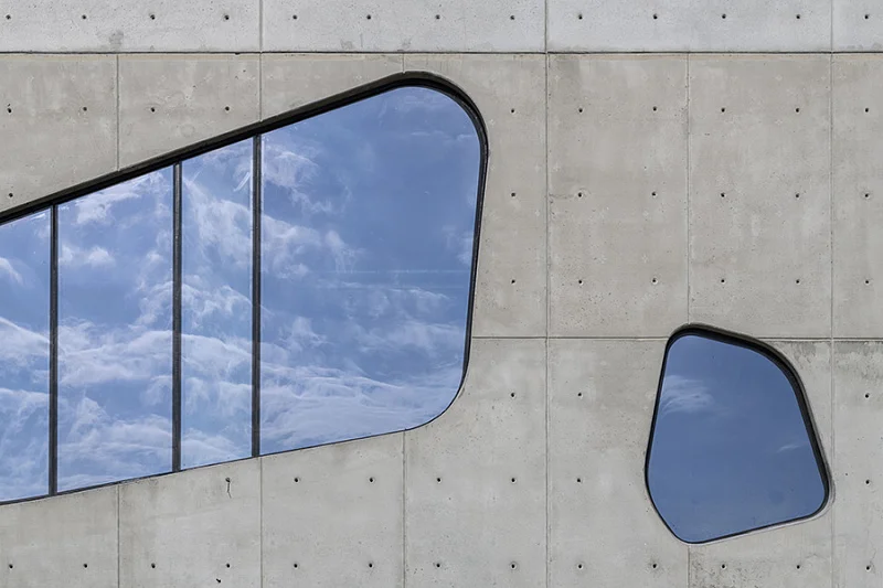 Бионика на фоне лоз