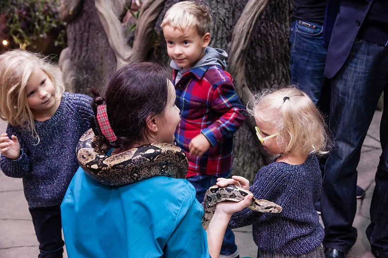 Океан впечатлений