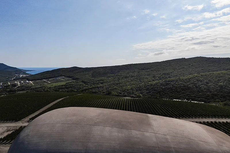 Бионика на фоне лоз