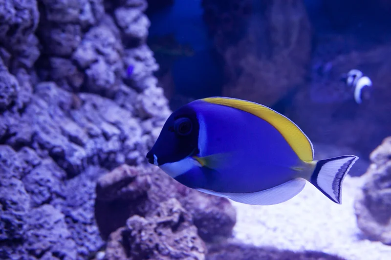 Океан впечатлений