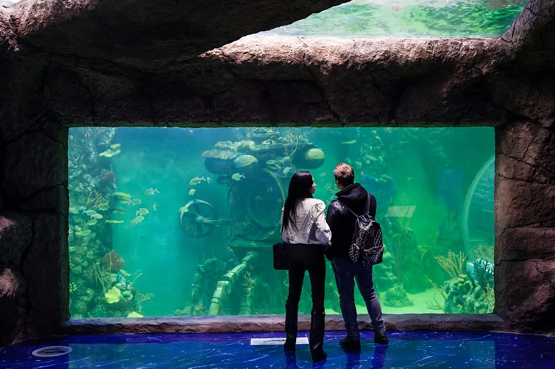 Океан впечатлений