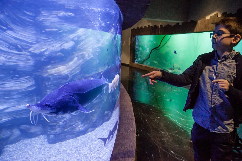 Океан впечатлений