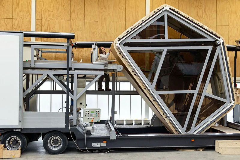 Камень? Дерево? Бумага!