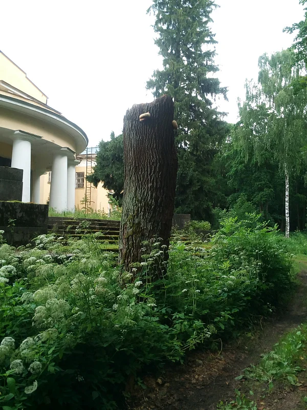 Обесточенный ансамбль 