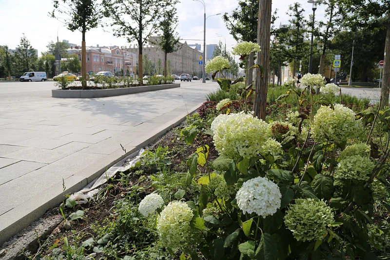 Жить красиво