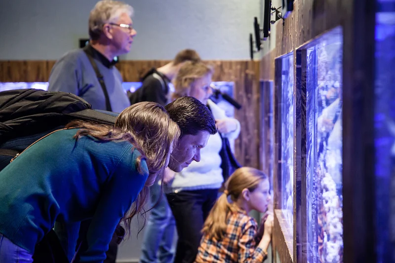 Океан впечатлений