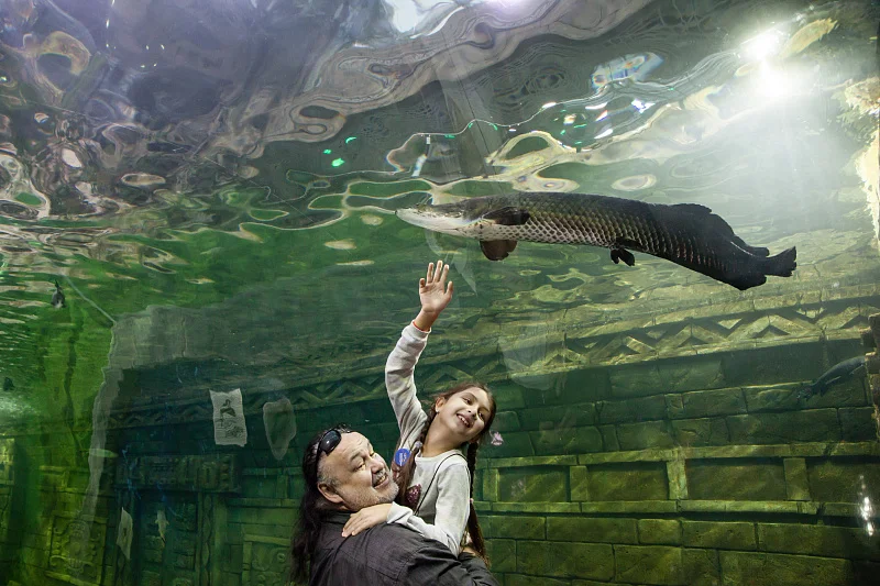 Океан впечатлений