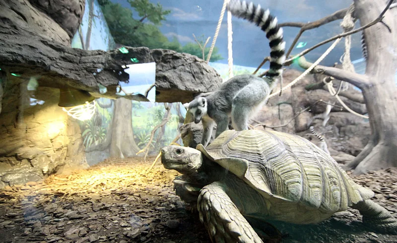 Океан впечатлений