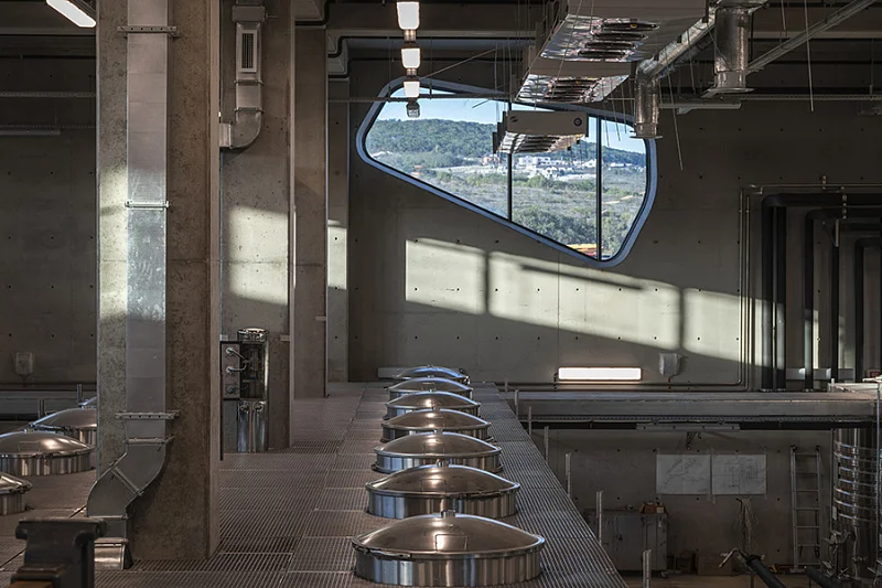 Бионика на фоне лоз