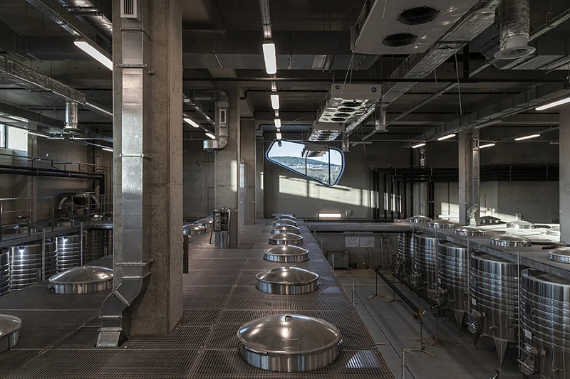 Бионика на фоне лоз