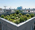 Сад на крыше: что действительно важно предусмотреть для его создания в российском климате