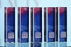 Итоги Программы «Лучшее для России. Развитие регионов» подвели в столице Татарстана