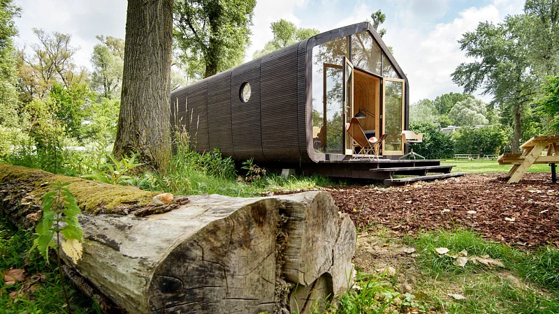 Камень? Дерево? Бумага!