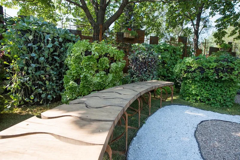 ﻿Окно в сад