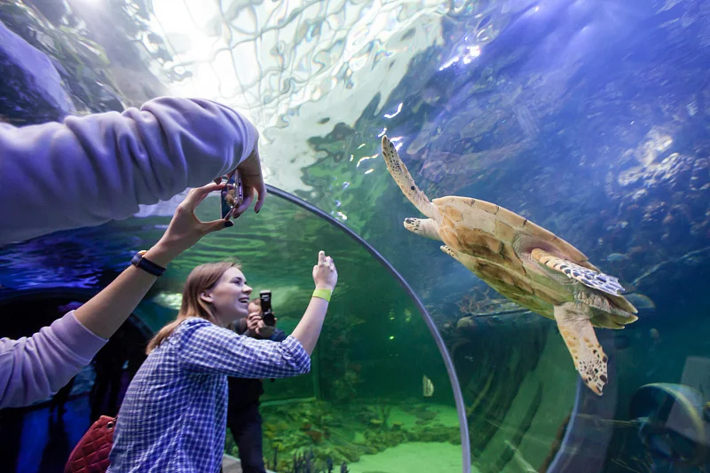 Океан впечатлений