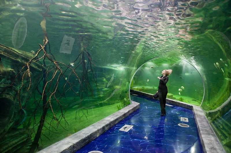 Океан впечатлений