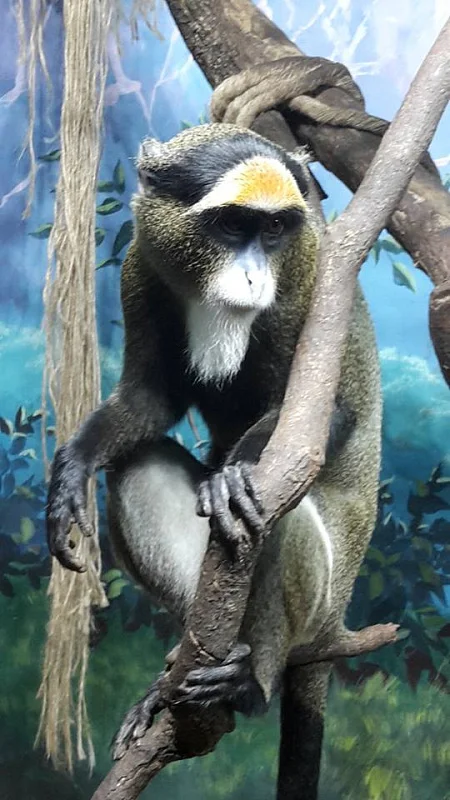 Океан впечатлений