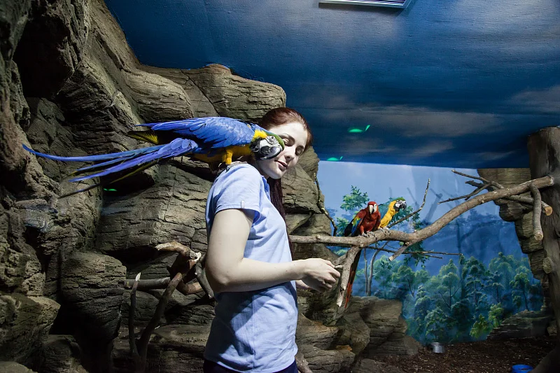 Океан впечатлений