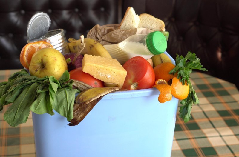 Третий бак — не лишний: новый закон поможет правильно собирать и перерабатывать пищевые отходы