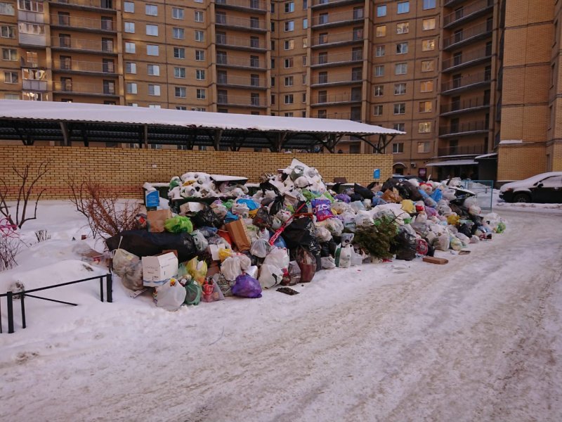Петербуржцы стали реже жаловаться на некачественную уборку мусора