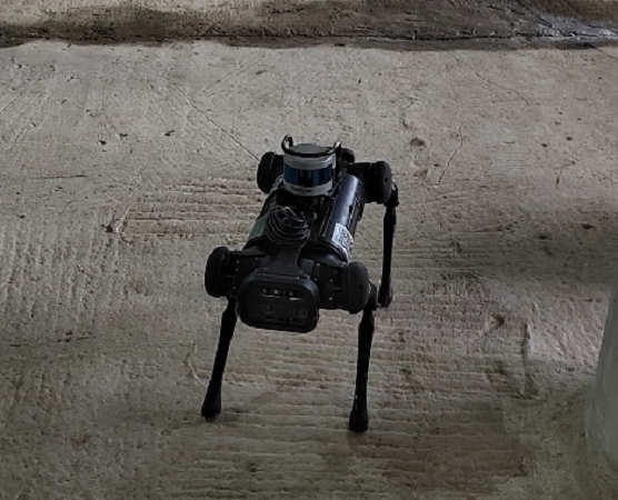 На столичных стройплощадках начались испытания робота-собаки