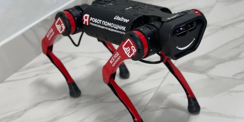 Собака-робот будет бороться с самозахватом городских территорий в Москве