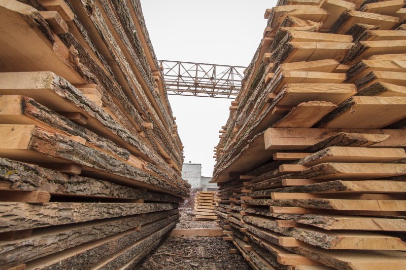 Постучать по дереву: какие шаги необходимы со стороны государства для стимулирования глубокой переработки древесины?